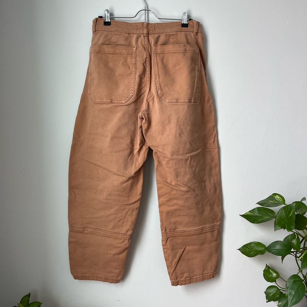 Everlane Barrel Pants